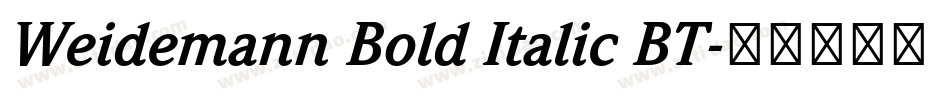 Weidemann Bold Italic BT字体转换